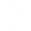 Coilx